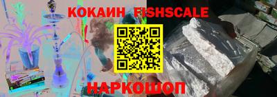 молекула духа Партизанск