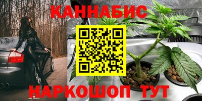 молекула духа Партизанск