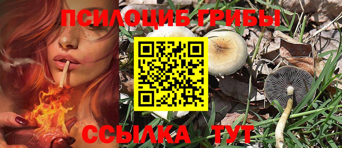 Галлюциногенные грибы MAGIC MUSHROOMS  Вход с VPN  Россия  Псилоцибиновые грибы Magic Shrooms 